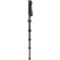 3 Legged Thing Legends Alana Carbon Fibre Monopod (Darkness)