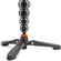 3 Legged Thing Legends Alana Carbon Fibre Monopod with DocZ Foot Stabiliser Kit (Metallic Grey)