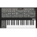 Behringer MS-5 37 Key Analog Synthesiser