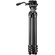 Tilta 75mm Cine Fluid Head with 3-Stage Carbon Fibre Tripod System (8kg Load, Space Grey)