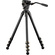 Tilta 75mm Cine Fluid Head with 3-Stage Carbon Fibre Tripod System (8kg Load, Space Grey)