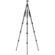 Ulanzi TT35 Hiking Stick Tripod Kit
