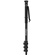 Ulanzi T069 Hiking Stick