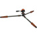 3 Legged Thing Punks Brian 2.0 Video Tripod System (Lava)