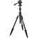 3 Legged Thing Punks Brian 2.0 Video Tripod System (Darkness)