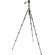 3 Legged Thing Punks Brian 2.0 Video Tripod System (Darkness)