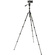 3 Legged Thing Punks Brian 2.0 Video Tripod System (Darkness)