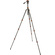 3 Legged Thing Punks Billy 2.0 Video Tripod System (Lava)