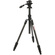 3 Legged Thing Punks Billy 2.0 Video Tripod System (Darkness)