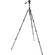 3 Legged Thing Punks Billy 2.0 Video Tripod System (Darkness)