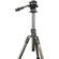 3 Legged Thing Punks Billy 2.0 Video Tripod System (Darkness)