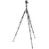 3 Legged Thing Punks Corey 2.0 Magnesium Alloy Tripod with AirHed Neo 2.0 Ball Head (Darkness)