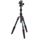 3 Legged Thing Punks Corey 2.0 Magnesium Alloy Tripod with AirHed Neo 2.0 Ball Head (Darkness)