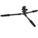 3 Legged Thing Punks Corey 2.0 Magnesium Alloy Tripod with AirHed Neo 2.0 Ball Head (Darkness)