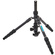 3 Legged Thing Punks Corey 2.0 Magnesium Alloy Tripod with AirHed Neo 2.0 Ball Head (Darkness)