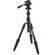 3 Legged Thing Punks Corey 2.0 Video Tripod System (Darkness)