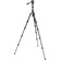 3 Legged Thing Punks Corey 2.0 Video Tripod System (Darkness)