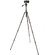 3 Legged Thing Punks Travis 2.0 Video Tripod System (Lava)