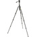 3 Legged Thing Punks Travis 2.0 Video Tripod System (Darkness)