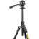 3 Legged Thing Punks Travis 2.0 Video Tripod System (Darkness)