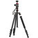 Ulanzi TT31 Claw Quick Release Camera Tripod & Monopod