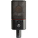 Austrian Audio OC818 Dual Set Plus Large-Diaphragm Multipattern Condenser Microphone (Pair, Black)