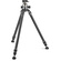 Gitzo Systematic Series 3 Carbon Fibre Tripod with Arca-Type Series 4 Centre Ball Head