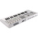 Korg microKORG 2 Advanced Synthesizer and Vocoder (White)