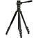 Tilta Travel Video Fluid Head with 3-Stage Carbon Fibre Tripod Legs (Forest Green)