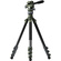 Tilta Travel Video Fluid Head with 3-Stage Carbon Fibre Tripod Legs (Forest Green)