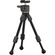 Tilta BT03 Carbon Fiber Tabletop Tripod with Ball Head (Space Grey)