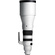 Sigma 300-600mm f/4 DG OS Sports Lens (Sony E)