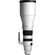 Sigma 300-600mm f/4 DG OS Sports Lens (L-Mount)