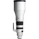 Sigma 300-600mm f/4 DG OS Sports Lens (L-Mount)