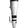Sigma 300-600mm f/4 DG OS Sports Lens (L-Mount)