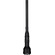 Laowa 24mm f/14 Probe Lens for Canon RF