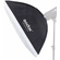 Godox SL-60IID LED Video Light with Stand & Softbox