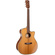 Cort Essence-GA4 Acoustic Guitar with Bag (Natural Semi-Gloss)