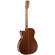 Cort Essence-OC4 Acoustic Guitar with Bag (Black Top Semi-Gloss)