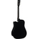 Cort Earth60CE Acoustic Guitar with Bag (Black Gloss)