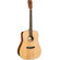 Cort Earth60 Acoustic Guitar with Bag (Open Pore)