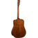 Cort Earth60 Acoustic Guitar with Bag (Open Pore)