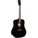 Cort Earth60 Acoustic Guitar with Bag (Black Gloss)