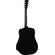 Cort Earth60 Acoustic Guitar with Bag (Black Gloss)