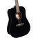 Cort Earth60 Acoustic Guitar with Bag (Black Gloss)
