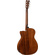 Cort L60CE Acoustic Guitar with Bag (Natural Gloss)