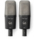 Warm Audio WA-14 Large Diaphragm Brass Capsule Condenser Microphone (Stereo Pair)