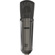 Warm Audio WA-87 R2 Multi-Pattern Condenser Microphone (Limited-Edition Titanium)