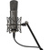 Warm Audio WA-87 R2 Multi-Pattern Condenser Microphone (Limited-Edition Titanium)