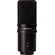 Zoom ZUM-2 USB Microphone